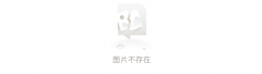 公司累计提交国表里专利申请余项